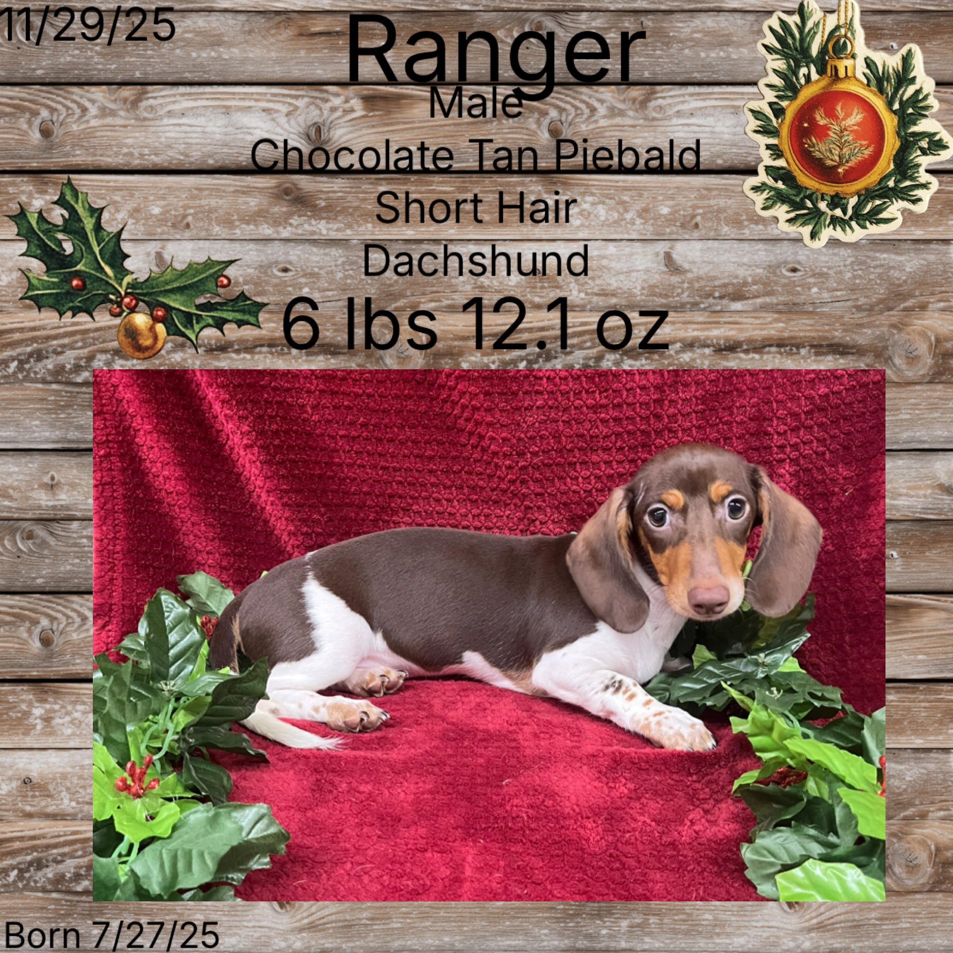 44E57555-C674-41CF-86B4-D5816B700BEF