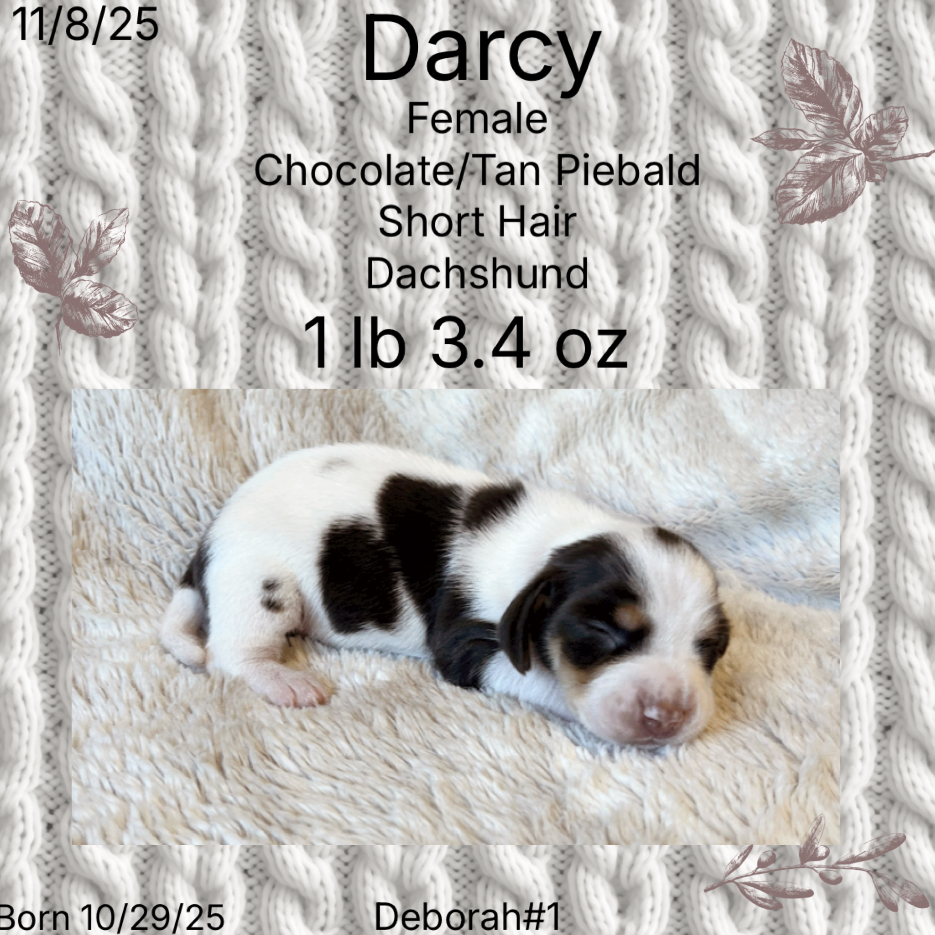 2216EA03-319B-462B-AFE3-F4A8CA5F7DDF