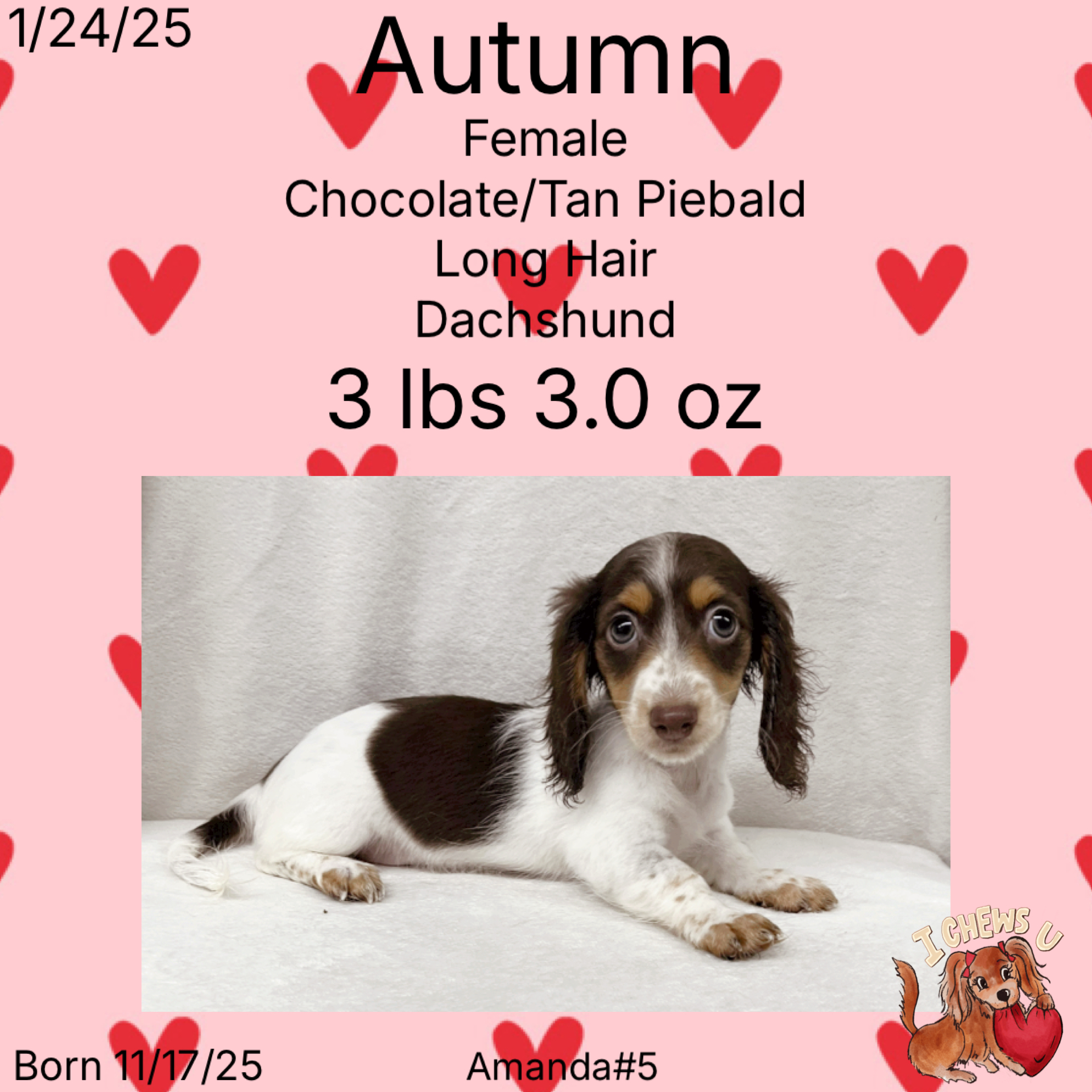 237336F7-751C-415A-B3E4-B9A5B1441611