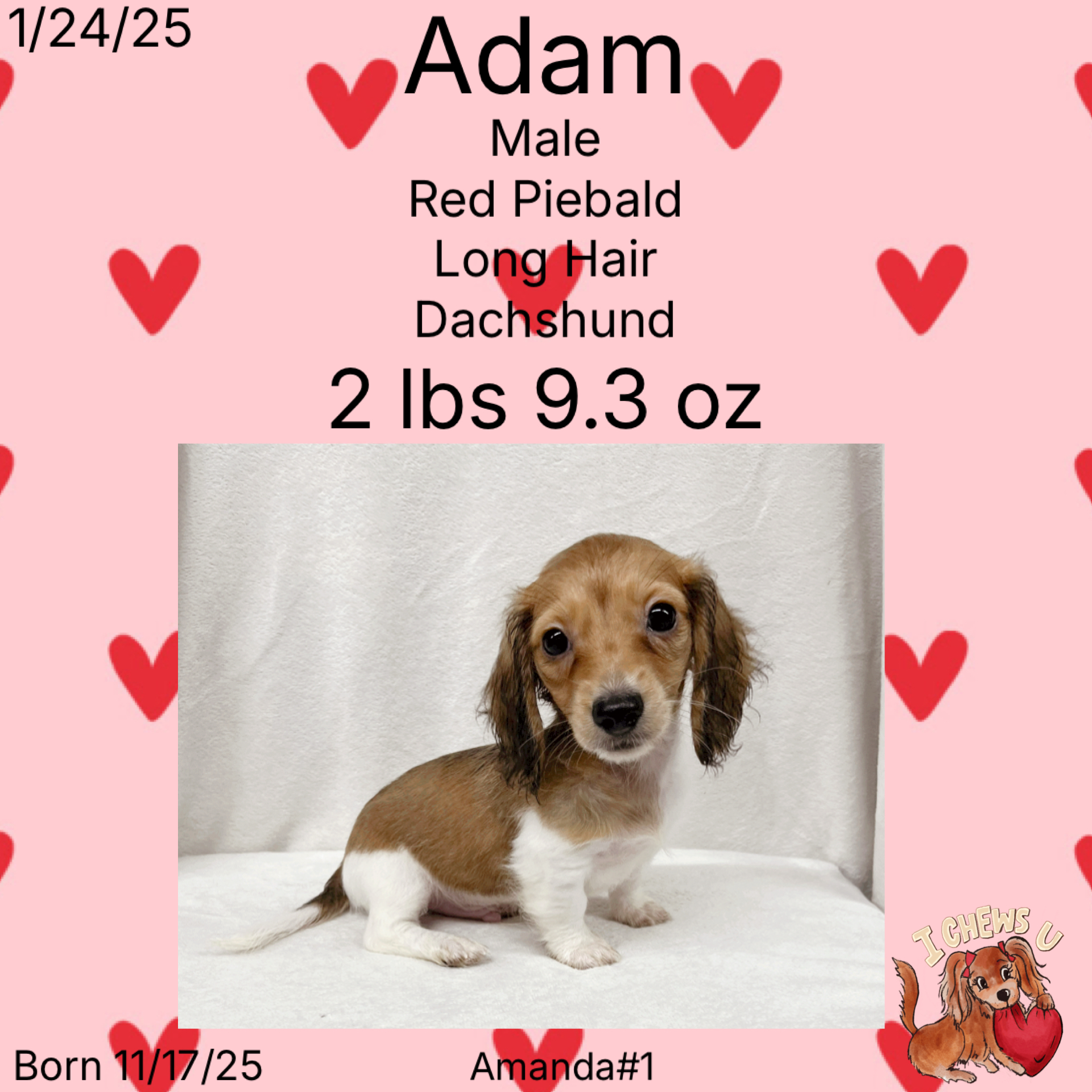 E9908444-A7AF-490D-8D91-B385DA14A154