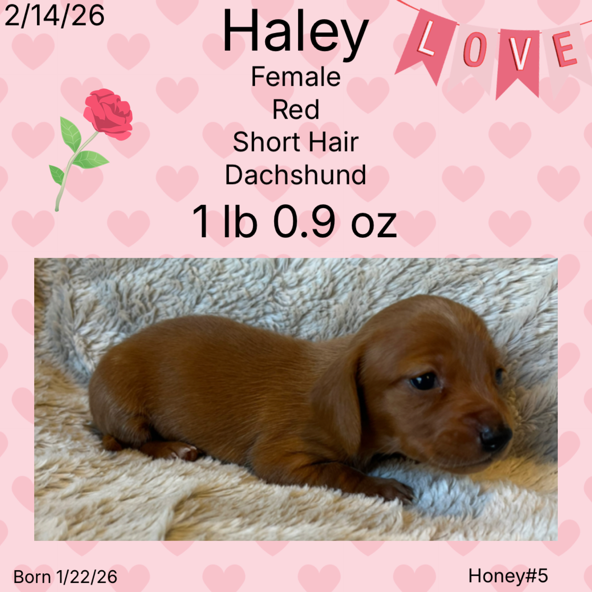 694DA334-67ED-4C18-96C7-00A167443AF2