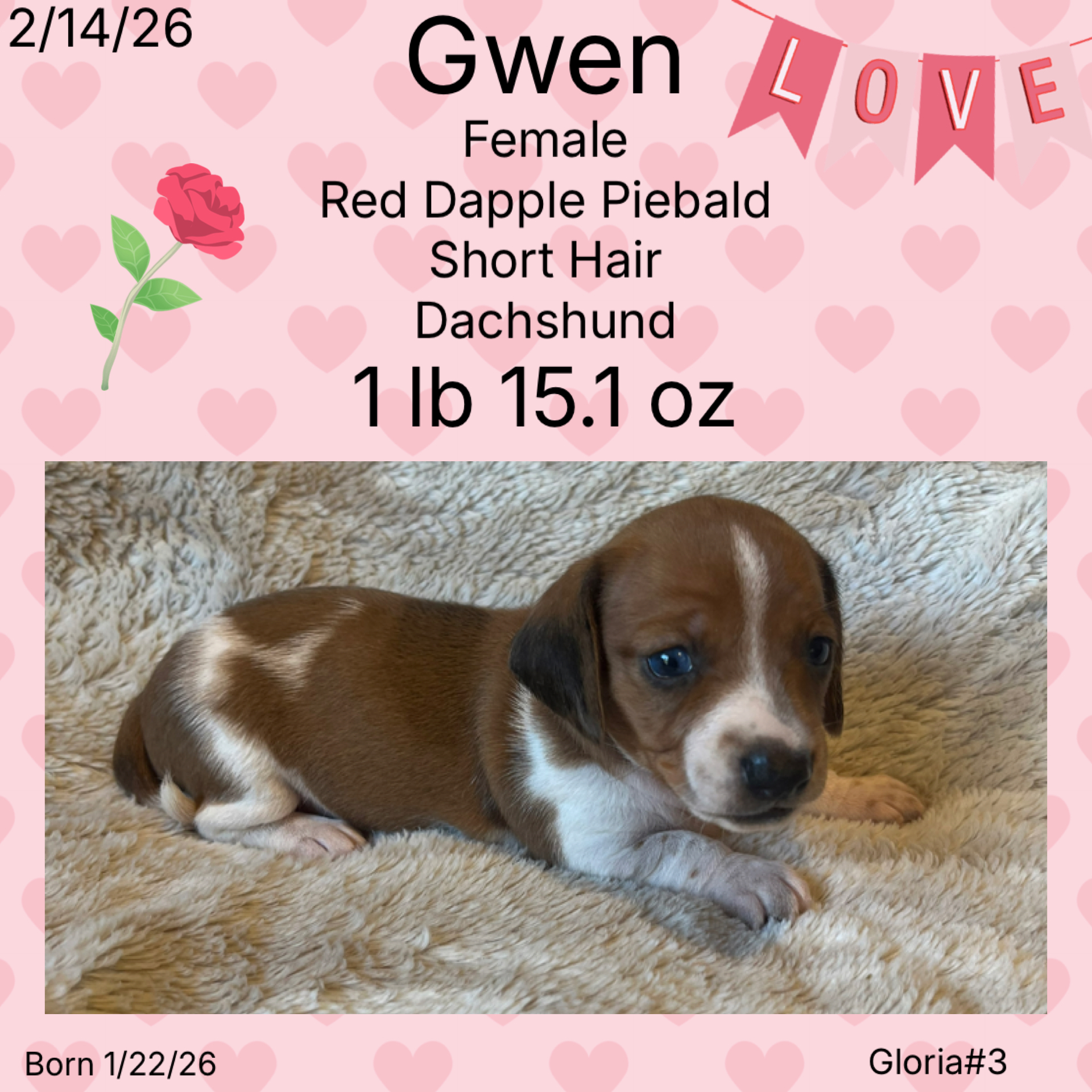 9793ED14-1CCA-469E-A682-A92C8DA52540