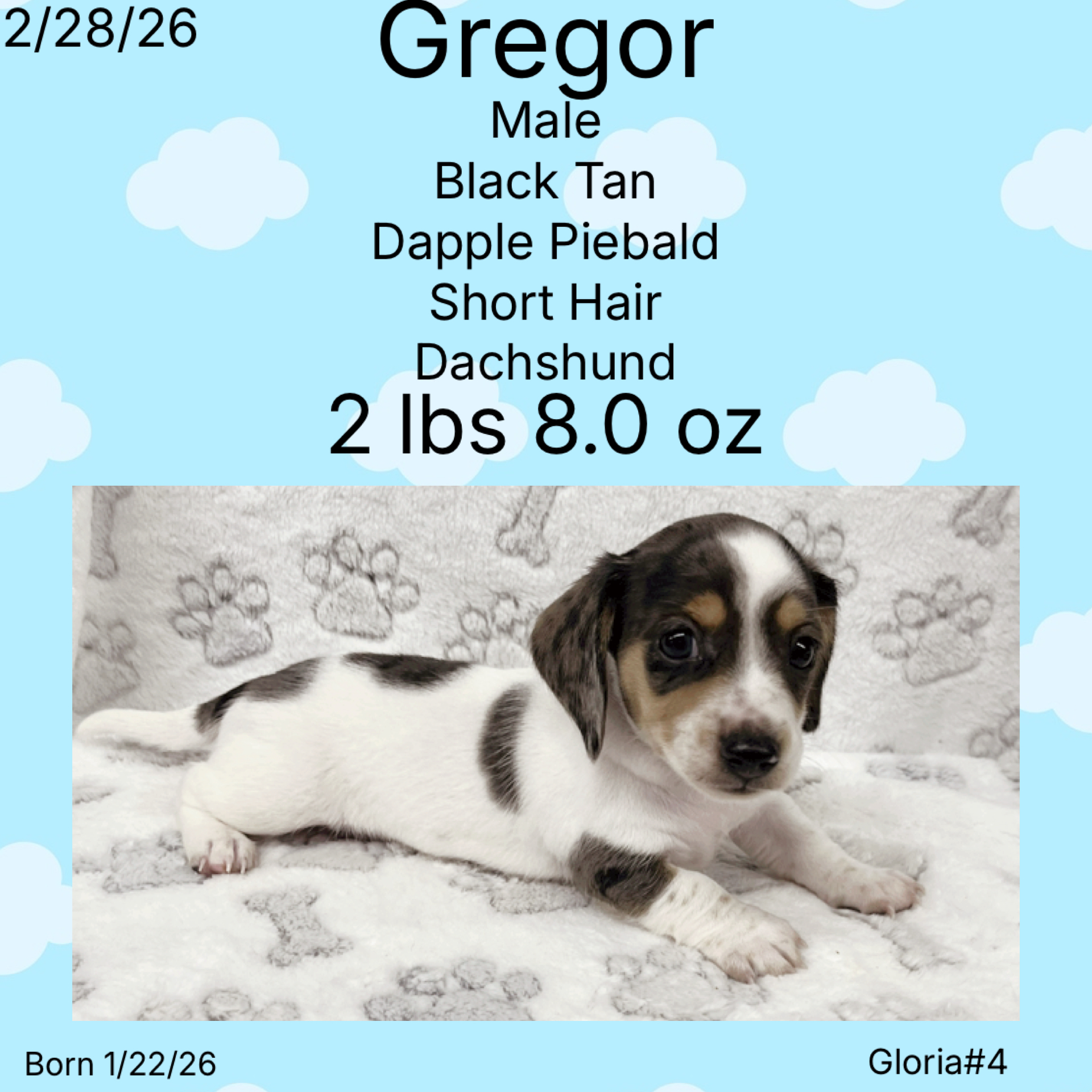 C69CD910-CA15-41F5-AF98-1AFA5C8BBB05