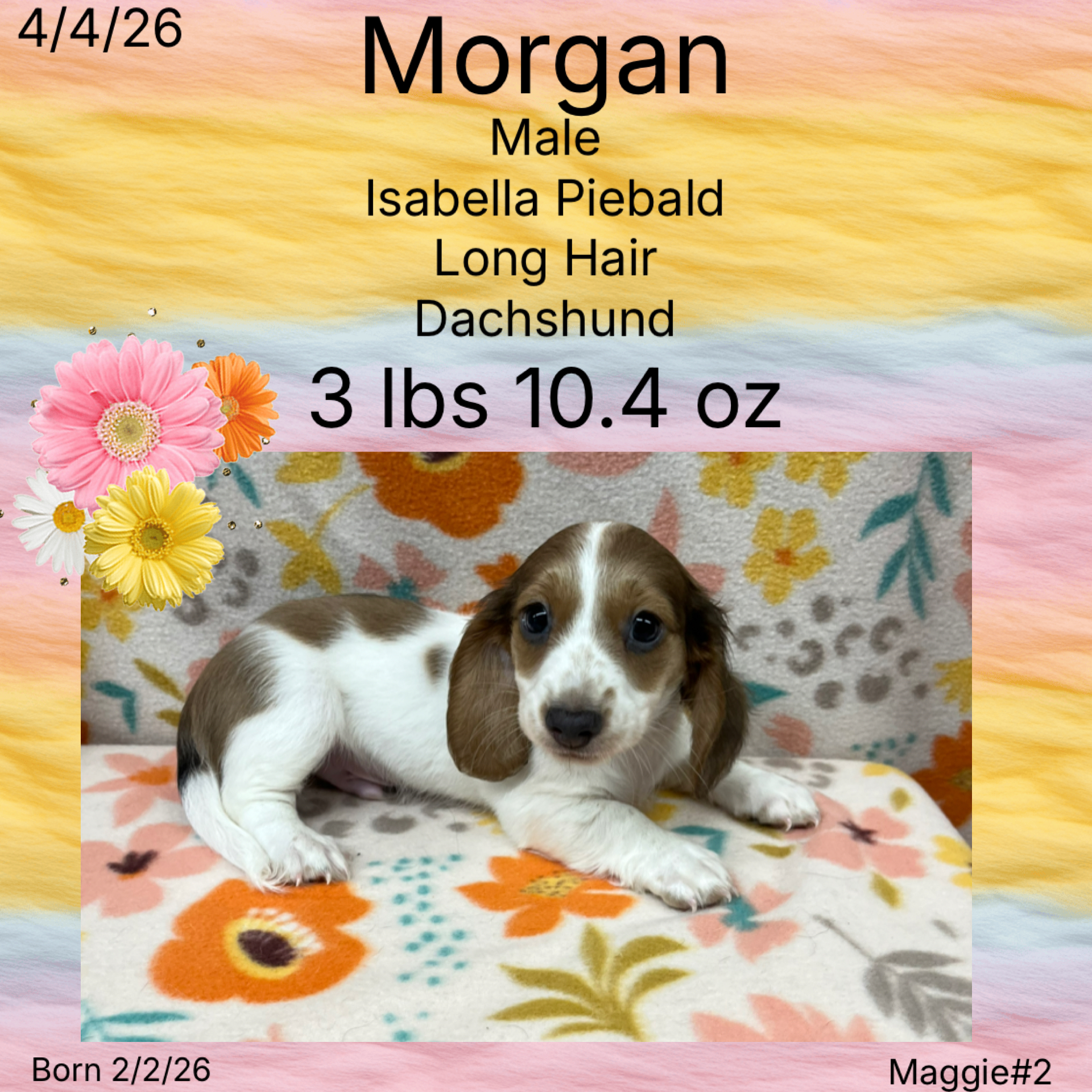 CBF615F1-8F13-45B4-A19D-F5B116E1E12D