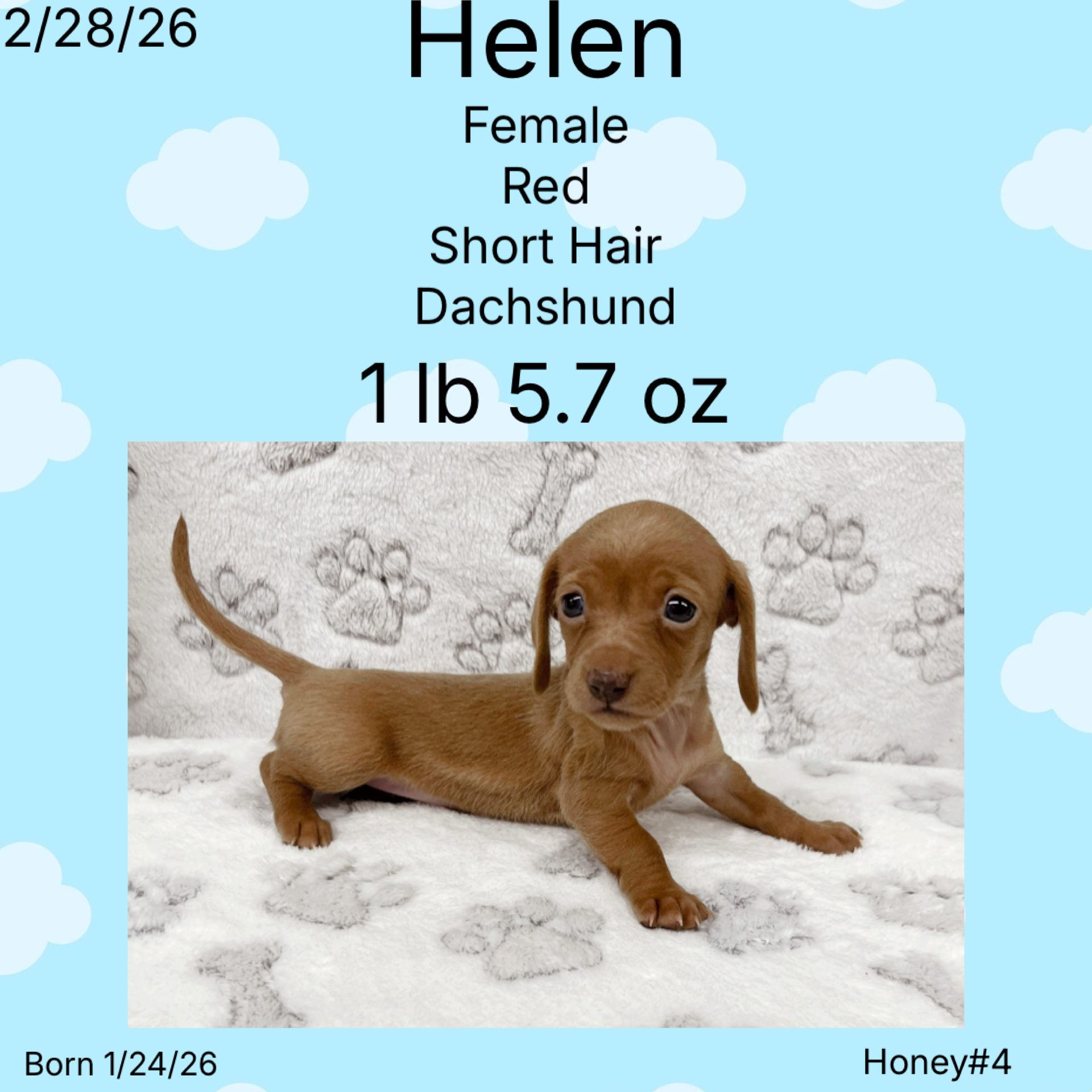 FDD401A1-86BF-4503-9B81-DBAB59C90298