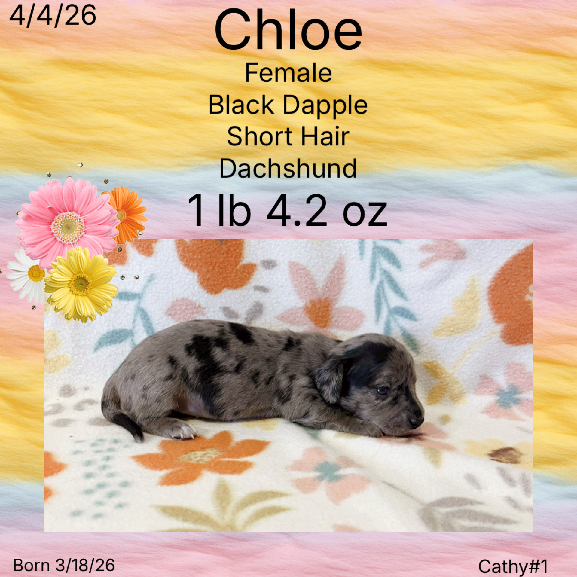 5A705F9F-D726-4CD4-8114-78E2762D671B