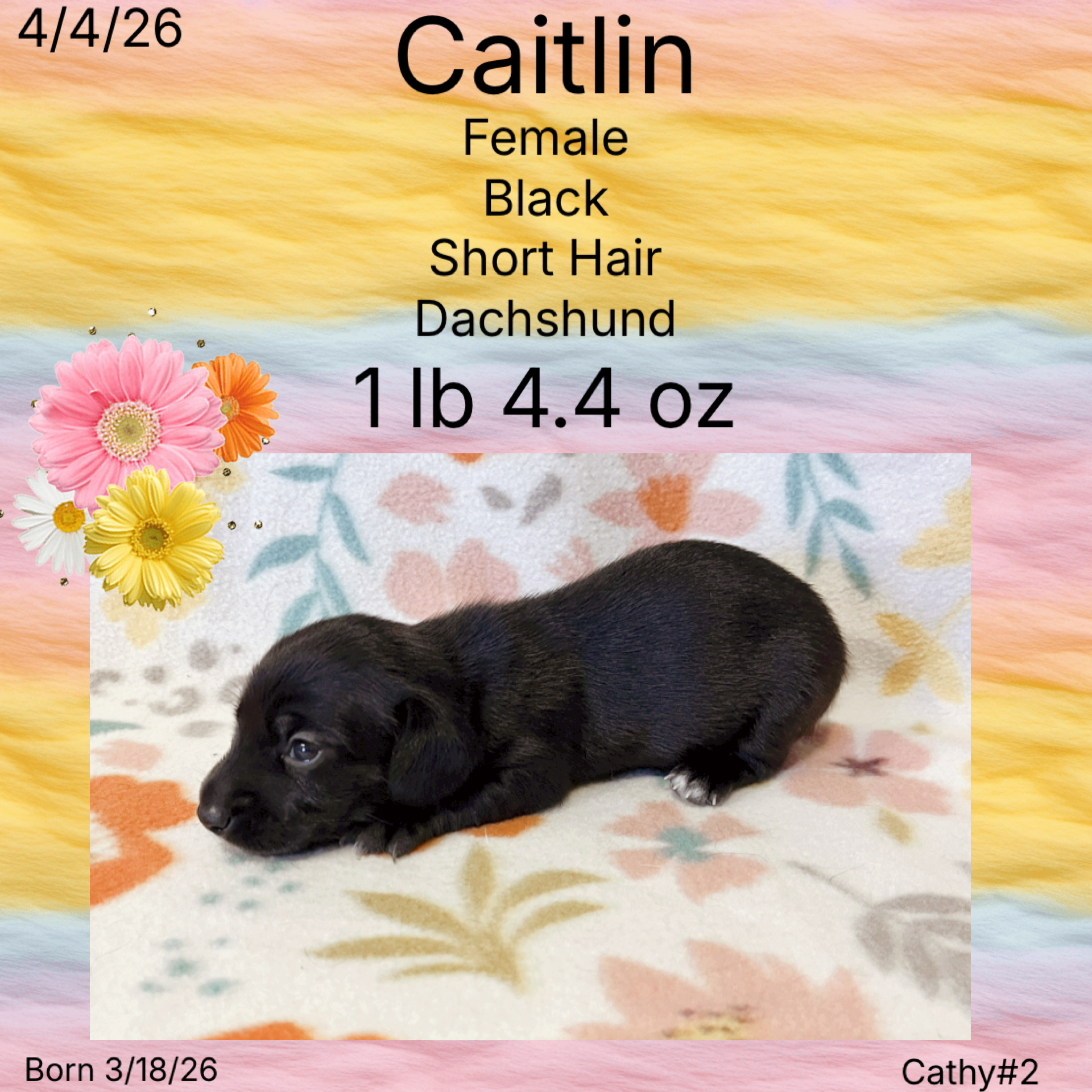 BF6FC8F1-EB7D-48A8-846E-394CB2375A6F